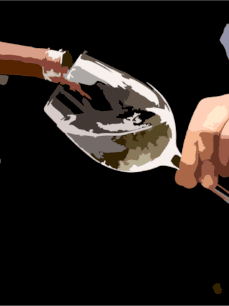 Курс «Сомелье Кавист» Курс «Сомелье Кавист»