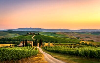 Что такое супертосканские вина? Что такое супертосканские вина?