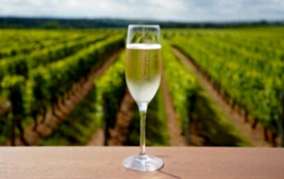 Лимит урожайности в Шампани на 2025 год Лимит урожайности в Шампани на 2025 год