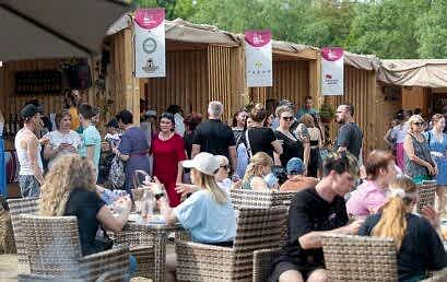 Фестиваль «Виноград» Фестиваль «Виноград»