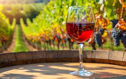 Безалкогольные вина Безалкогольные вина